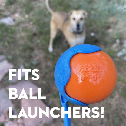 Squeak Ball - Durable Squeaky Dog Toy, Floats, Chew Toy | USA Made
